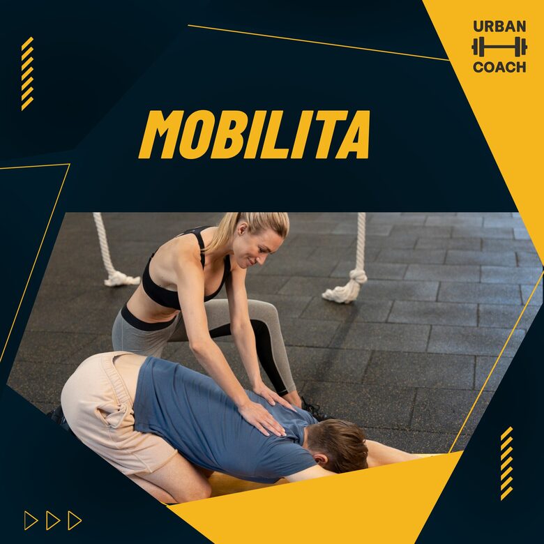 Mobilita v tréninku